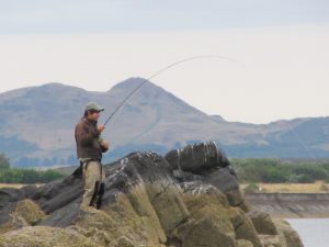 Mackerel on the fly