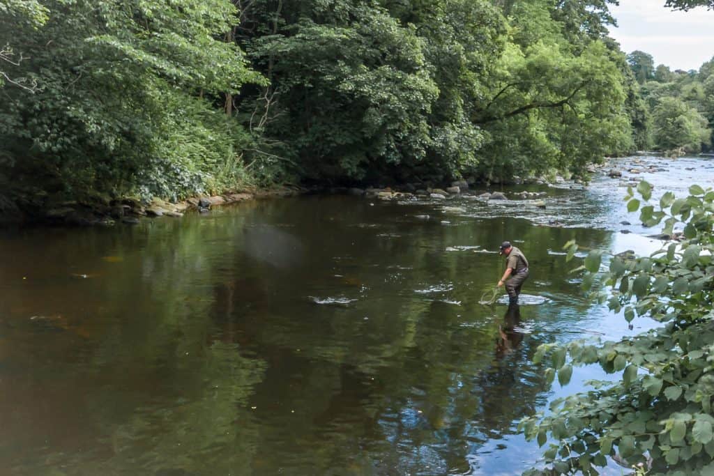 Fishing in the River Almond, Edinburgh