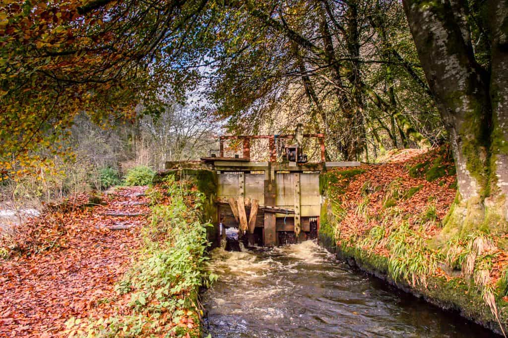 Scottish Autumn Colours