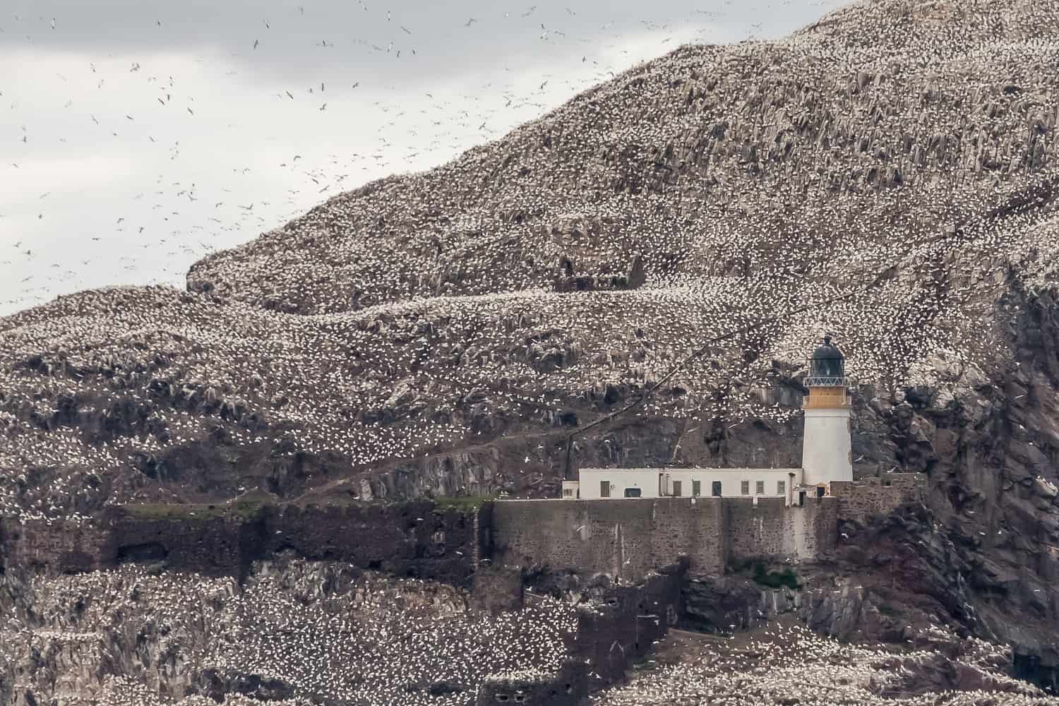 bass rock