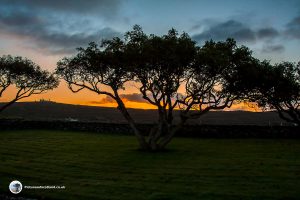 Sunrise at Grogarry Lodge