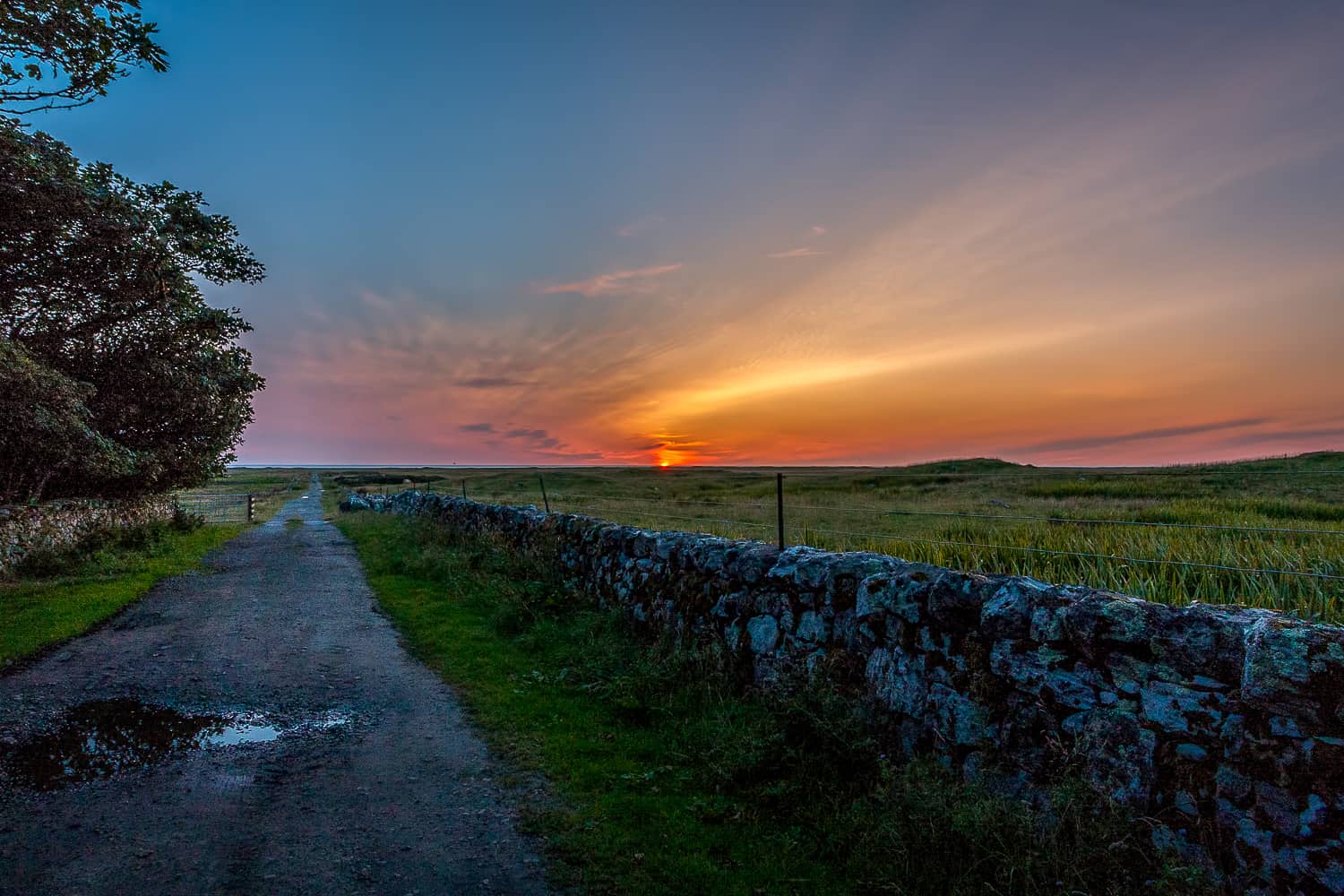 grogarry sunset