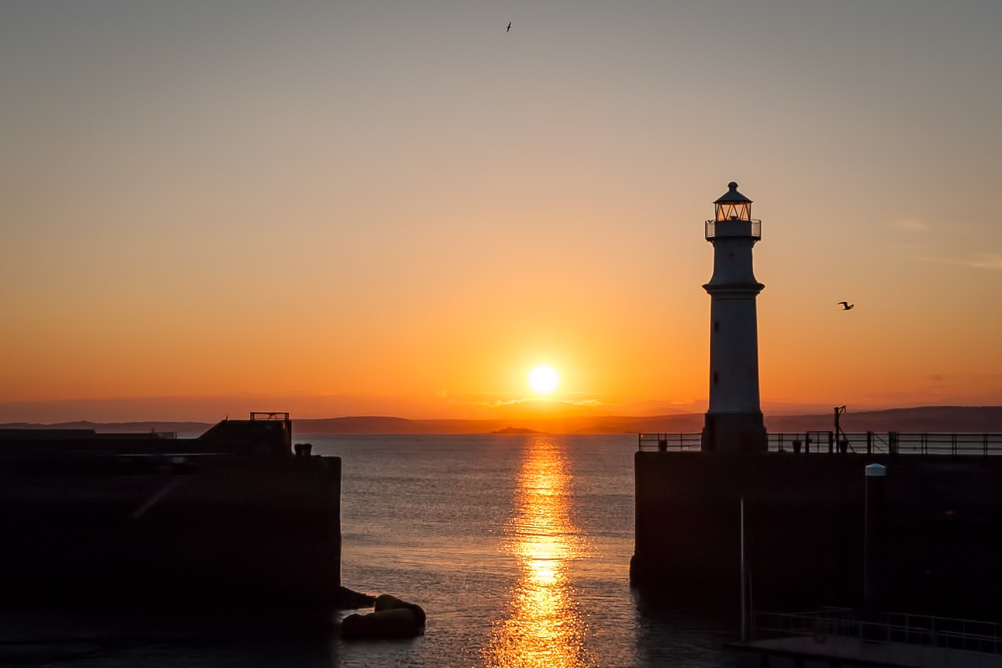 newhaven harbour