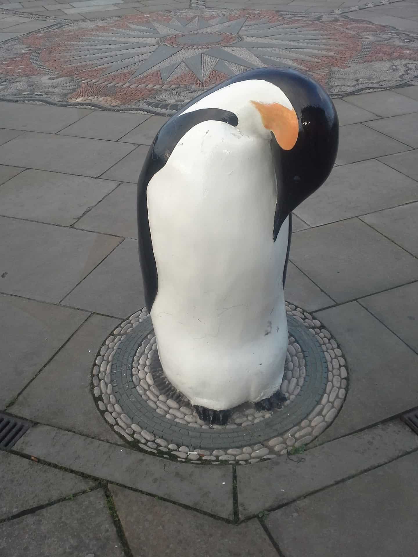 penguin