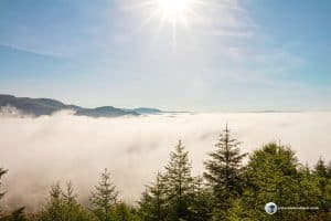 Foggy Scotland seen from Ben Ledi