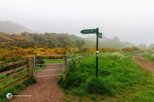 Signpost for Scald Law