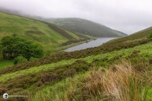 Loganlea reservoir from Scald Law