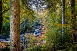 The Hermitage, Dunkeld