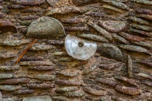 Coins in Trees, The Hermitage, Dunkeld