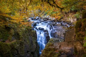 The Hermitage Dunkeld