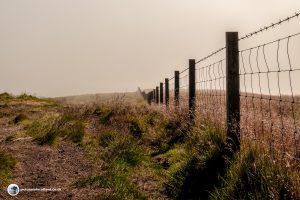 Looking back down Caerketton hill - into the fog