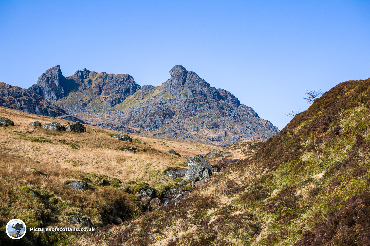 The Cobbler Mountain