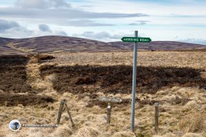 The Herring Road