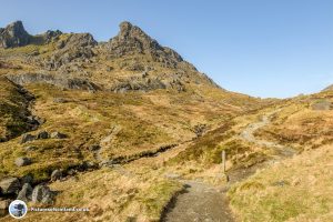 Decision time at The Cobbler