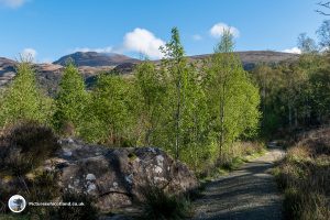 Looking up to the summit of Ben Lomond