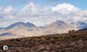 The Arrochar Alps