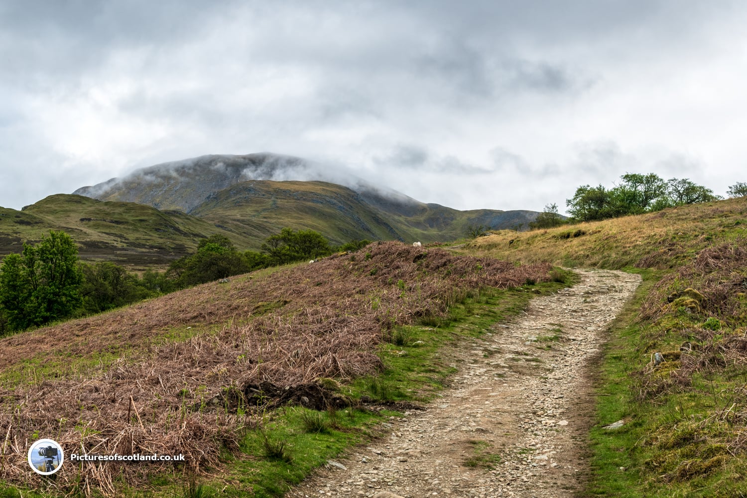 Ben Vorlich