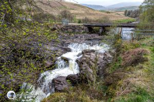 The Falls Above the Scout Pool