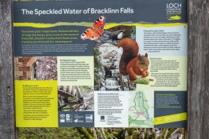 Bracklinn Falls Information