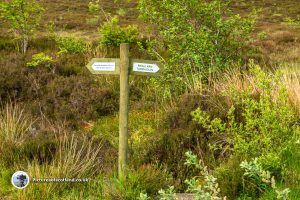 Sign to Meall Nan Tarmachan