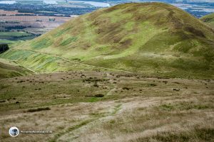 Silver Glen Track