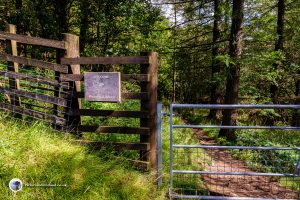 Entrance to the woodland