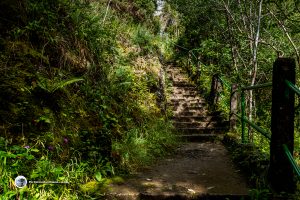 Path with railings