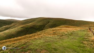 The summit of Ben Cleuch