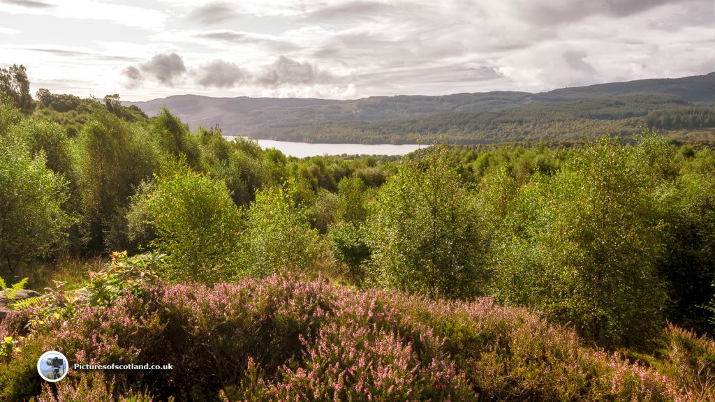 Loch Venachar from Lendrick Hill