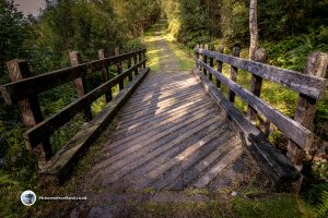 Bridge on the Lendrick Hill path