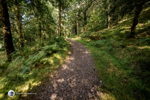 Path up Lendrick Hill