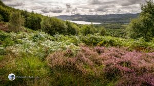 Loch Venachar from Lendrick Hill