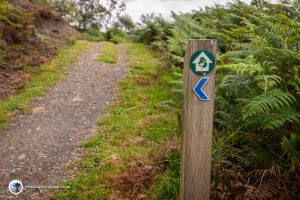 The Great Trossachs Path