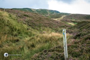 Stuc Odhar Way Markers