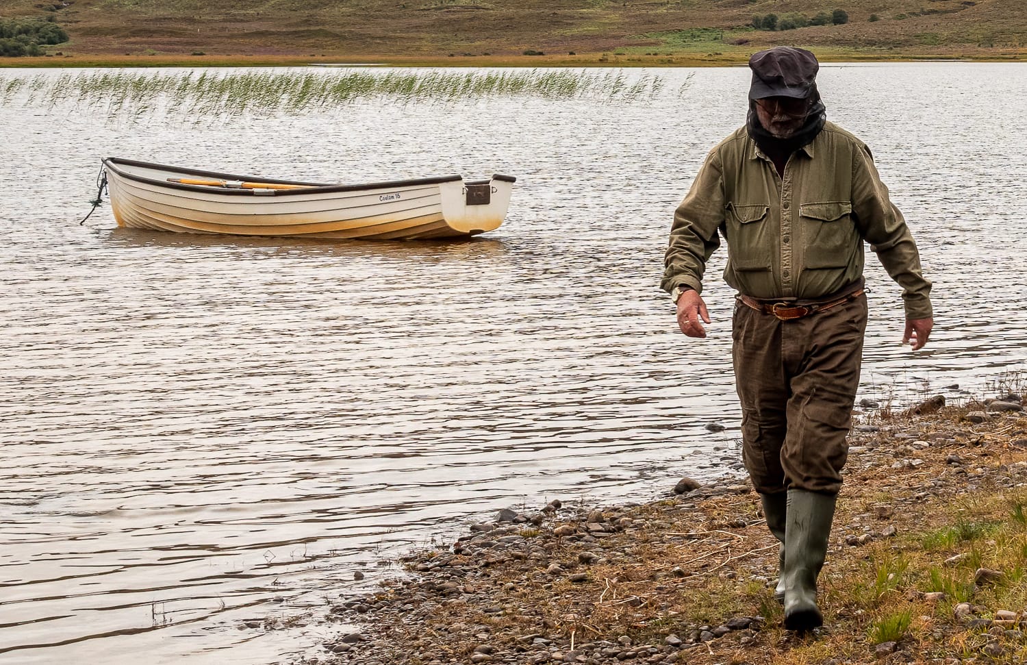 Midges in Scotland