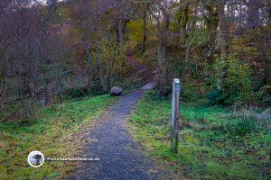 Little Druim Wood Play Trail