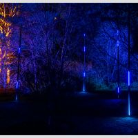 Edinburgh Botanics christmas lightshow