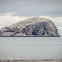 Bass Rock