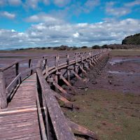 Aberlady Nature Reserve