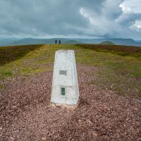 Scald Law