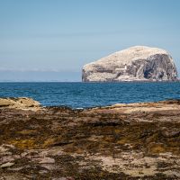 The Bass Rock